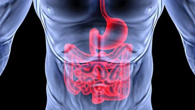 Traktu gastrointestinalaren gaixotasunak