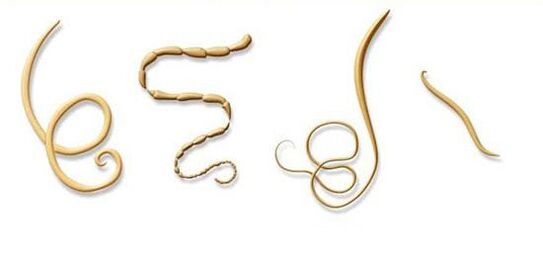 parasito mota ohikoenak